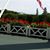 Diane Holter's profile image