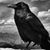 Gregory S.Durst's profile image