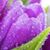 Mary McGinniss's profile image