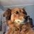 Tony Brooks's profile image