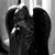 Sheila Walberg-Oneil's profile image