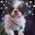 Anthony Parente's profile image
