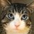 Susan Westover's profile image