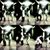 Rodrigo MJ's profile image