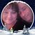 Tonya Zylka's profile image
