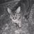 Jackie Dundon's profile image