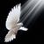 Norma Y Adrian Ortiz's profile image