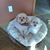 Wanda Anderson's profile image
