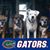 Liz Findley Pursell's profile image