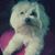 Sue Bamford's profile image