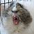 Mitch Babcock's profile image