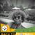 Deena M. Bumbry's profile image