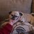 Rachel Raum Wilkins's profile image