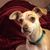 Sara Richardson Mayeux Vallery's profile image