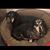 Lisa Lindley's profile image