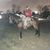 Jose Ledesma's profile image