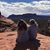 Marygrace Coyne Alicea's profile image