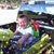 Ignacio Escalante's profile image