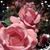 Patty Shoudel's profile image