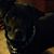 Julie Cook Hockman's profile image