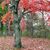 Tracy M Lynd's profile image