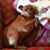 Nancy Mandia's profile image