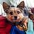 Marie Pittelkow Gonsoski's profile image
