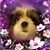 Marylou Schier's profile image