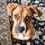 Diane Johnston Stover-Craig's profile image