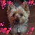 Wanda Kennedy's profile image