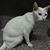 Deanna Fisher Ramos's profile image