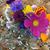 Jami Hoekstra's profile image