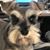 Liz Denham's profile image