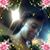 Deirdre Davis's profile image