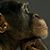 Fab U Loso's profile image
