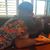 Nicholas Brown's profile image