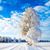 Elaine Gurney Phillips Pieratt's profile image