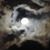 Valerie Berns's profile image