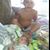 Elisha Guffy Azzaretto's profile image