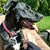 Kathryn Garcia-Stackpole's profile image