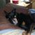 Noreen Adolphson's profile image