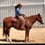 Hunter Drake Allemand's profile image