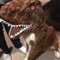 Ken Livezey's profile image