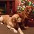 Donna Hofman's profile image