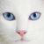 Katherine Taylor's profile image