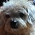 Penny Martin's profile image