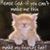 Joanne Holmgren's profile image