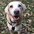 Wendy DeCarlo's profile image