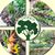 Dodds Family Tree Nursery Inc.'s profile image