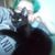 Barbara Papps's profile image